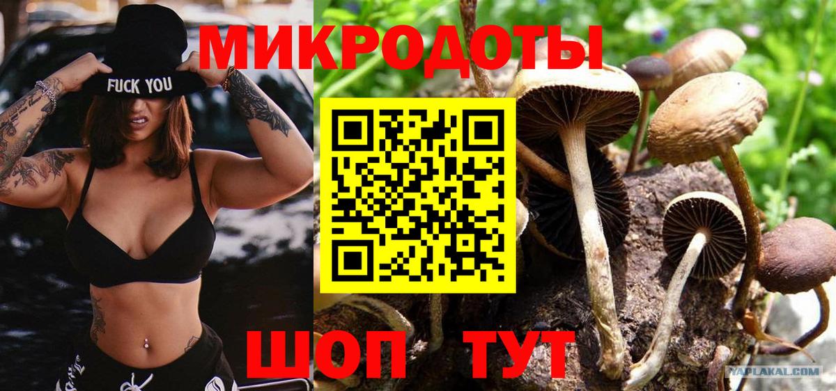 Галлюциногенные грибы Psilocybine cubensis  Вход с VPN  Электросталь  Псилоцибиновые грибы Cubensis 